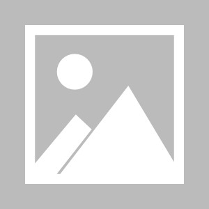 乐鱼体育官网-【早报】东奥代表团双旗手出炉！朱婷成首位女旗手！